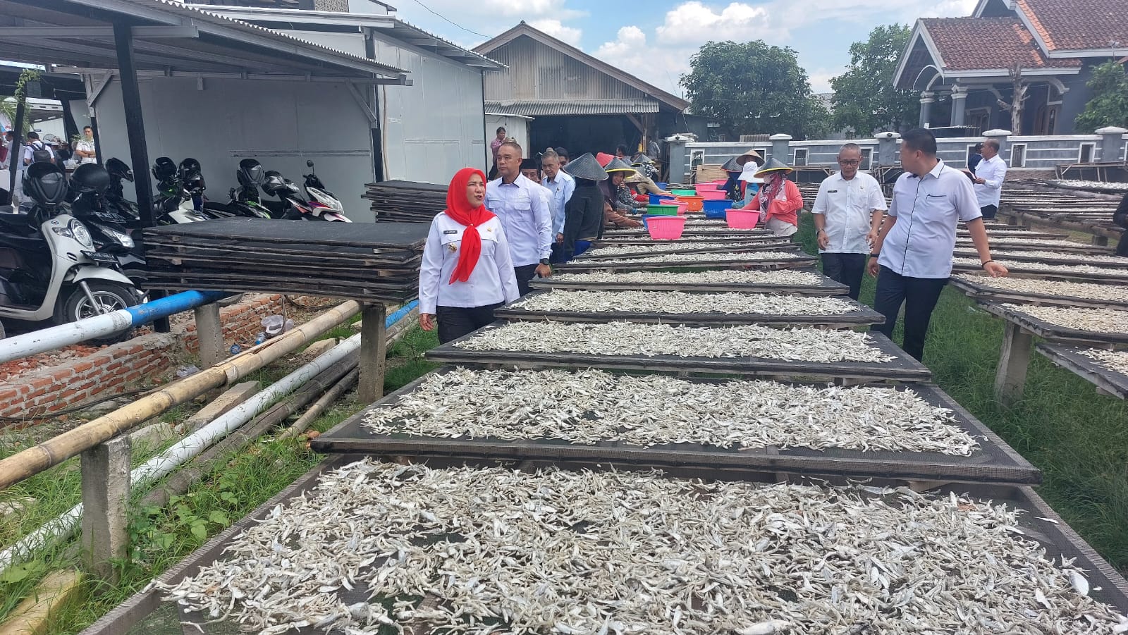 Pemprov Lampung dan Pemkot Bandar Lampung Tinjau Sentra Ikan Teri Pulau Pasaran